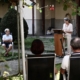 DSC05115 Inaugurazione Giardino Laudato si' ( momento ufficale 2)
